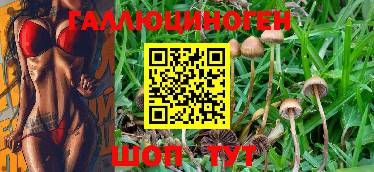 хочу наркоту  Галлюциногенные грибы Magic Shrooms  Вход с VPN  Рузаевка 